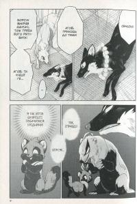 Лис і маленький танукі. Том 2 — Мі Тагава #11