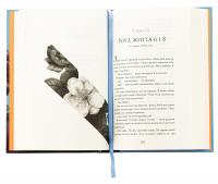 Дев'ять життів Роуз Наполітано — Донна Фрейтас #5