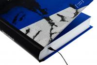 Ганна Барвінок. Вибране — Ганна Барвінок #4