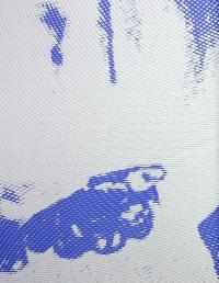 Ганна Барвінок. Вибране — Ганна Барвінок #14