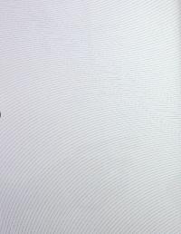 Ганна Барвінок. Вибране — Ганна Барвінок #16