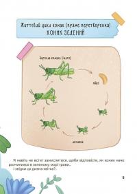 Дивовижні перетворення. Хто ховався у яєчку — Юлія Пелихова #6