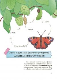 Дивовижні перетворення. Хто ховався у яєчку — Юлія Пелихова #8