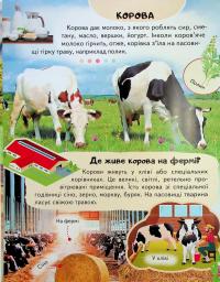Енциклопедія Ферма — Ганна Логвінкова #5