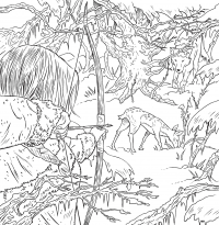 Двір шипів і троянд. Розмальовка — Сара Маас #4