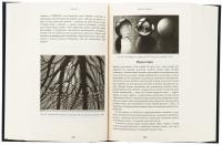 Ґедель, Ешер, Бах. Вічне золоте плетиво — Дуглас Р. Хофстедер #6