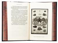 По сліду Джека-Різника. Книга 2. Полювання на князя Дракулу — Керрі Маніскалко #6
