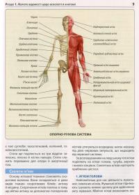 Екстрена допомога в разі ДТП. Посібник з порятунку #7