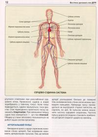 Екстрена допомога в разі ДТП. Посібник з порятунку #10