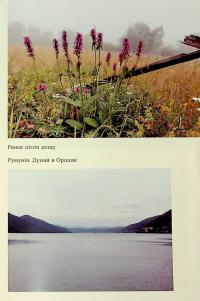 Сама. 2300 кілометрів через усі Карпати — Олена Бондаренко #22