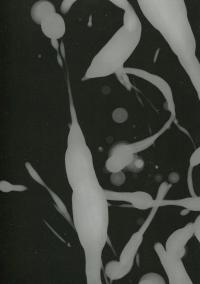 Гра Короля. Том 5 — Канадзава Нобуакі #4