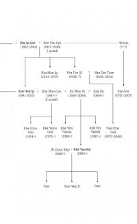 Сестра. Кім Йо Чжон — найвпливовіша жінка Північної Кореї — Сунг-Юн Лі #12