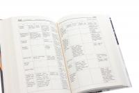 Мова Львова, або Коли й батяри говорили — Людмила Підкуймуха #6