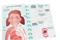 Меганаліпки. Тіло людини #4