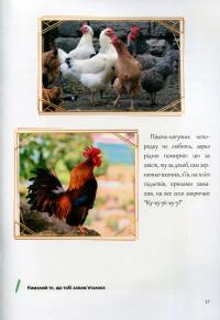 Казкова розмовляночка за малюнками. Посібник для роботи з дітьми 4 року життя — Любомира Калуська,Оксана Чекан #10