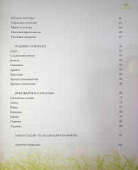Українські народні вироби з соломи — Раїса Павленко #4