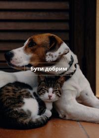 Сіль і життя — Ренді Маршал #4