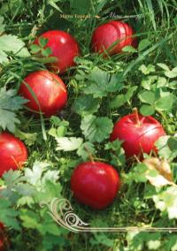 Слова великих серцем #17