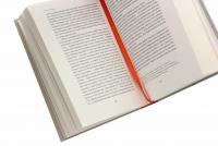 Бунтарки. Нові жінки і модерна нація #5