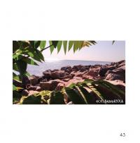 Чудернацький світ Василя Кухарського — Василь Кухарський #17