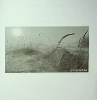 Чудернацький світ Василя Кухарського — Василь Кухарський #23