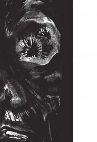 Нічийний шафран — Ярина Чорногуз #15