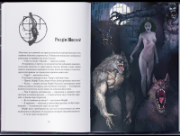 Справи Дрездена. Книга 2. Повня дурня — Джим Батчер #3