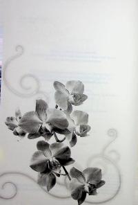 Холодне серце — Джулі Холл,Лея Стоун #5