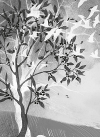 Берегиня і пілот Роджер — Дзвінка Матіяш #2