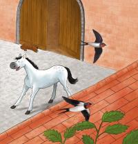 Тракторець учиться ділитися — Наталі Квінтарт #6