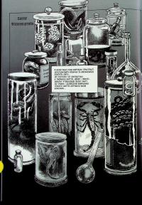 Франкенштайн — Мері Шеллі,Жорж Бесс #13