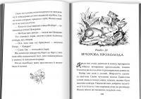 Павутиння Шарлотти — Елвін Брукс Вайт #5