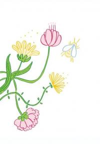 Чесно-пречесно — Нора Донес #4