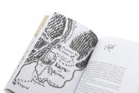 Слуги яструба і лілей — Катерина Липа #6