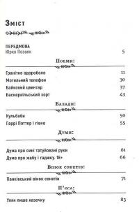 Великі форми — Євгенія Чуприна #3