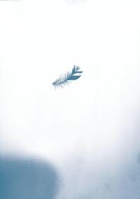 Порожні трибуни — Богдан Задура #9