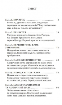 Сатіпаттхана. Досвід пробудженої уважності — Ірвин Шетток #2