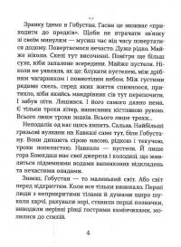 Нуль цілих, нуль десятих — Роксолана Жаркова #4