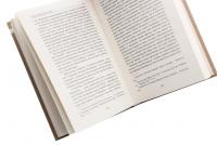 Євген Маланюк. Проза поета — Григорій Клочек #5