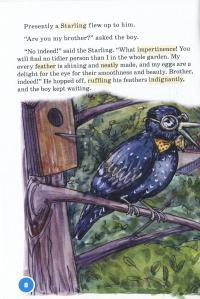 Братик Порося / The Pig Brother — Лора Річардс #14