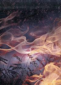 Руїна козацько-селянської України в 1648-1764-1802 роках — Сава Зеркаль #2