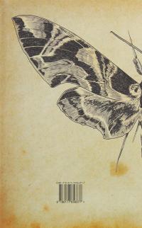 Якщо вона є — Ольга Бражник #2