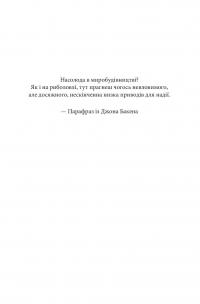 Розбудова миру. Стале примирення в розділених суспільствах — Джон Пол Ледерак #4