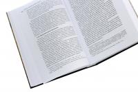 Світло і тіні наукового стилю — Пилип Селігей #5