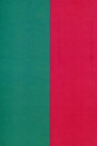 Козаки і татари. Українсько-кримські союзи 1500-1700-х років — Тарас Чухліб #2