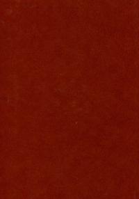 Малі українські діярії XVII-XVIII століть #2