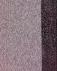 Драгоманов у спогадах #3