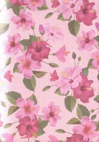 Альбом друзів #6