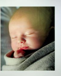 Книга малюка. Місяць за місяцем (+ стікерпак у подарунок) — Джуді Барретт,Керол Купер,Нікола Дешам,Фіона Вілкок,Карен Салліван,Мері Стін #9