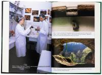 Неандерталець — Сванте Паабо #5